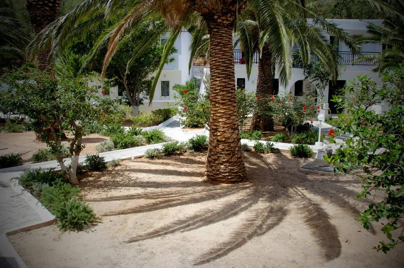 General view, Avra Palm, Crete