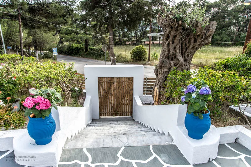 General view, Pine Trees Art Hotel, Rhodes