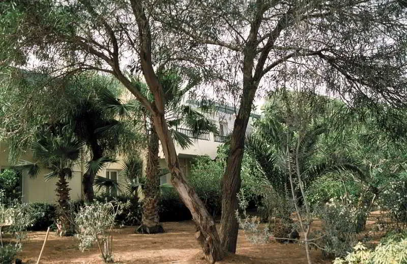 General view, Dessole Garden Beach Resort, Tunisia