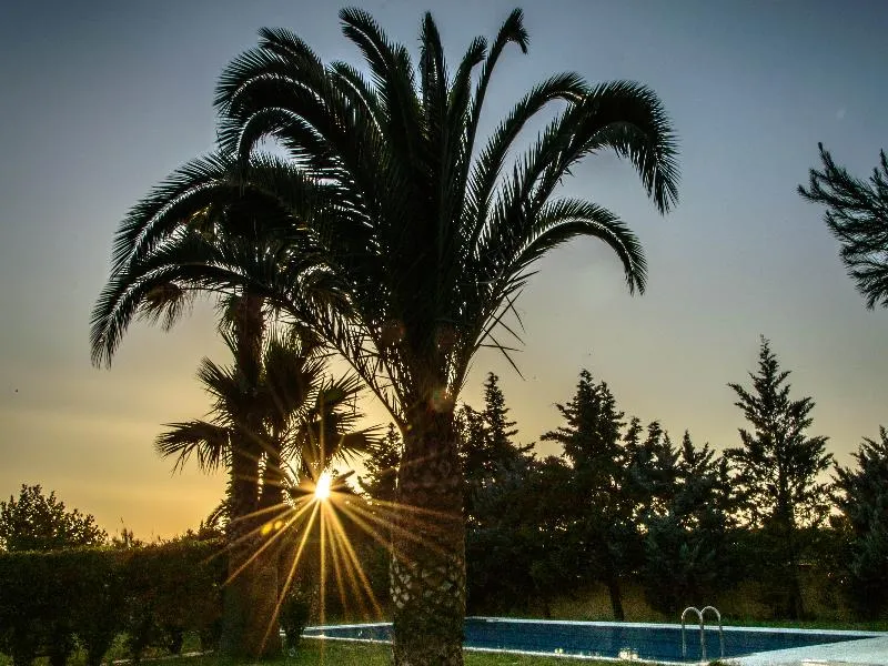 Pool, Leone Luxury Villas, Zante
