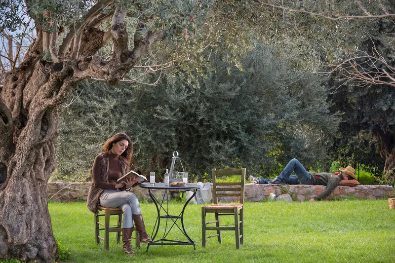 Terrace, Agroktima, Athens