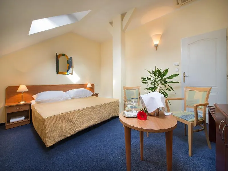 DOUBLE STANDARD Room, EA Hotel Tosca, Prague