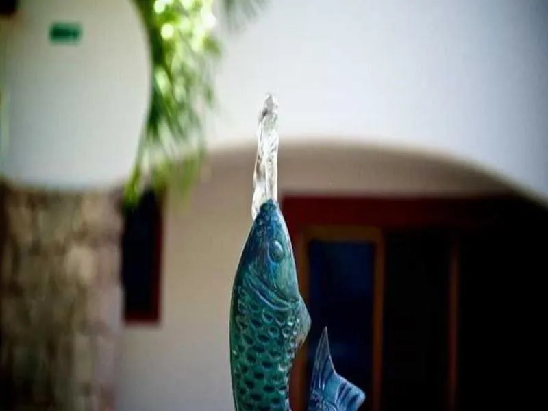 General view, Pelicano Inn, Playa Del Carmen