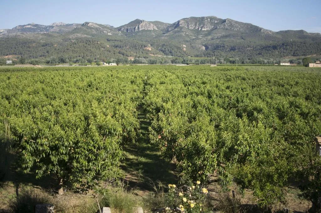 General view, Mas Taniet, Costa Dorada