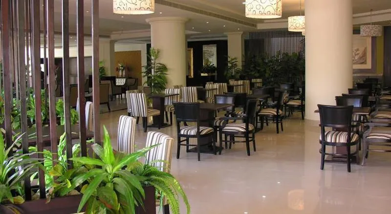 Terrace, Flow Aqua Legends Resort Sahl Hasheesh, Red Sea Riviera