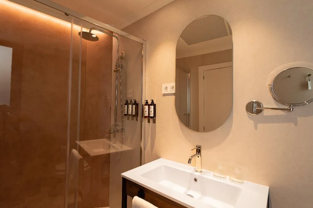 DOUBLE SINGLE USE BASIC Room, Petit Palace Preciados, Madrid