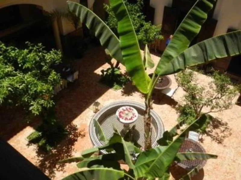 General view, Riad Ilayka, Marrakech