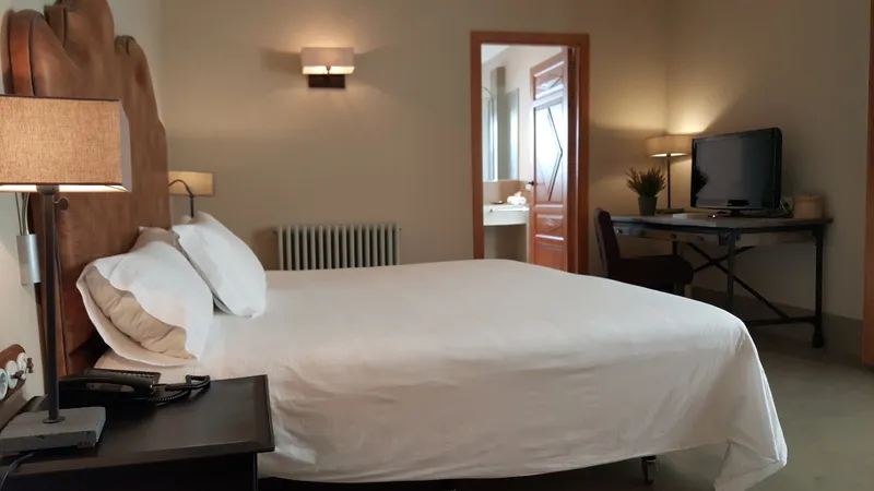 Double or Twin LUXURY Room, Palacio Carvajal Giron, Madrid