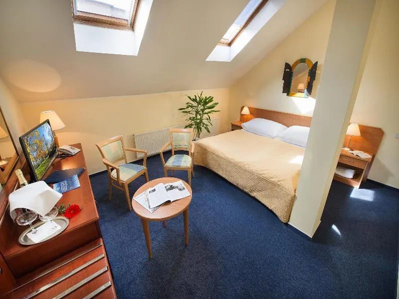 DOUBLE STANDARD Room, EA Hotel Tosca, Prague