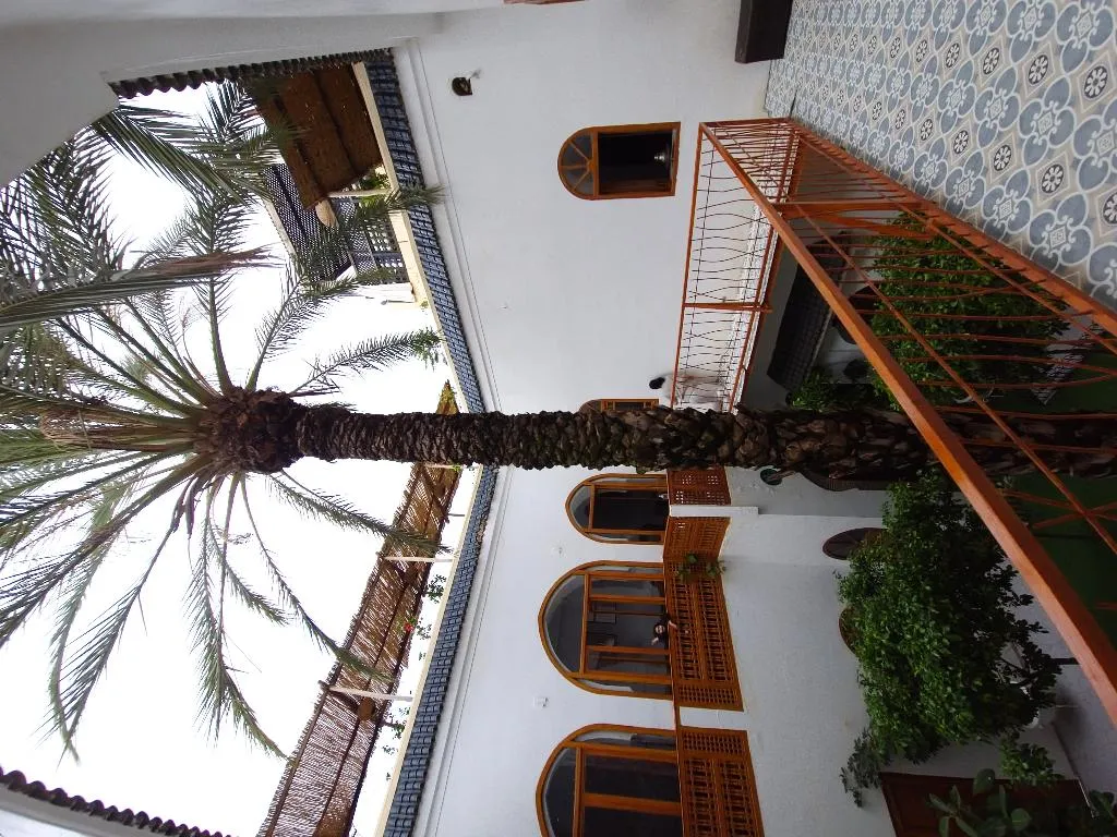 General view, Riad O-ly, Marrakech