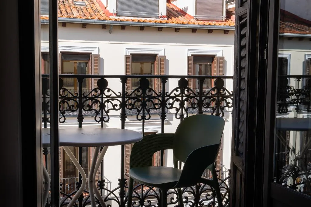 DOUBLE SINGLE USE STANDARD Room, Petit Palace Preciados, Madrid