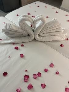 Daisy Hotel, Zante