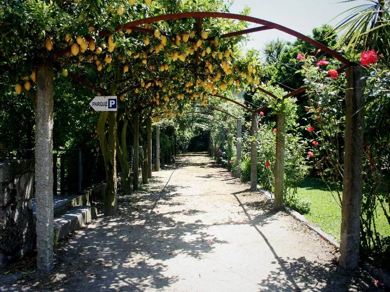 General view, Quinta De Santa Comba, Porto
