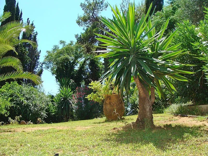General view, Alexandros&Gerekos, Corfu
