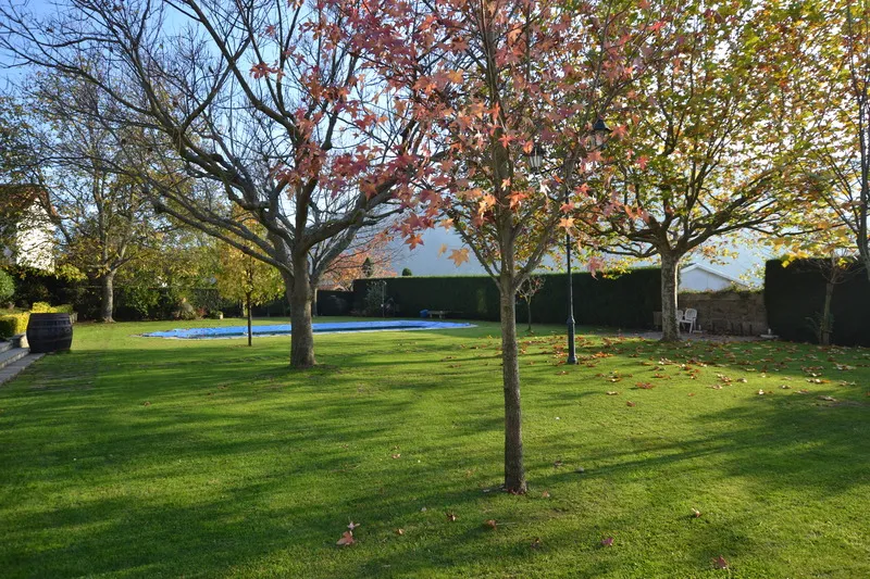 Terrace, Quinta do Terreiro, Porto