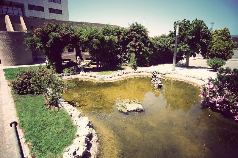 Terrace, Louty Simba, Valencia