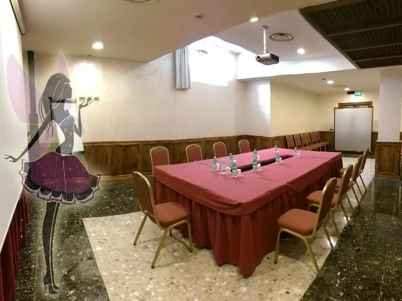 Conferences, Meeting Ciampino, Rome