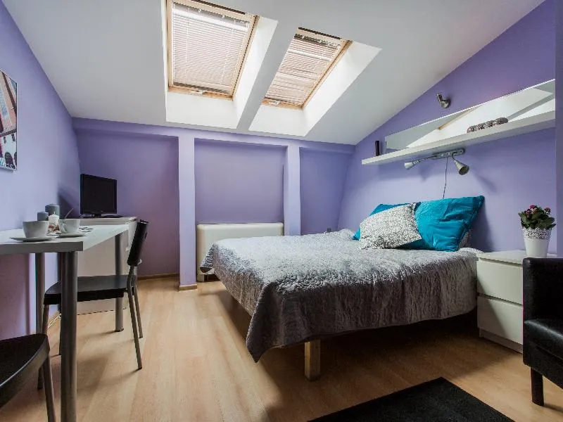 DOUBLE STANDARD Room, Apartwawel, Krakow