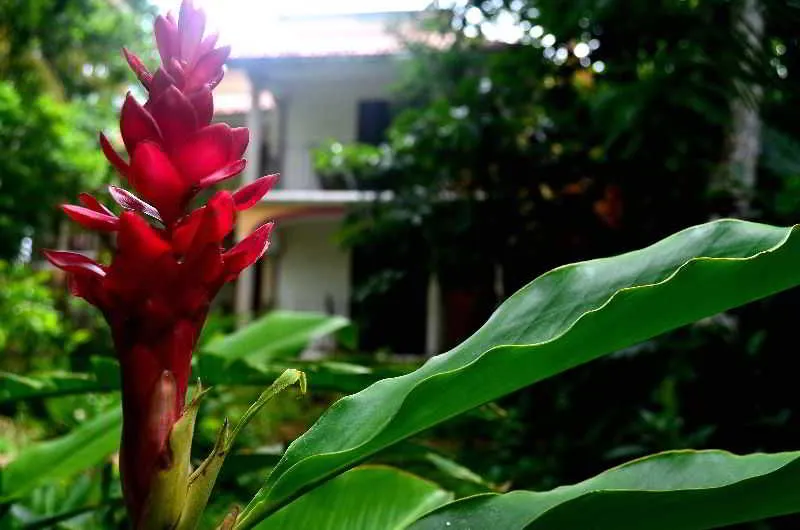 General view, Ecotel Quinta Regia, Cancun Area