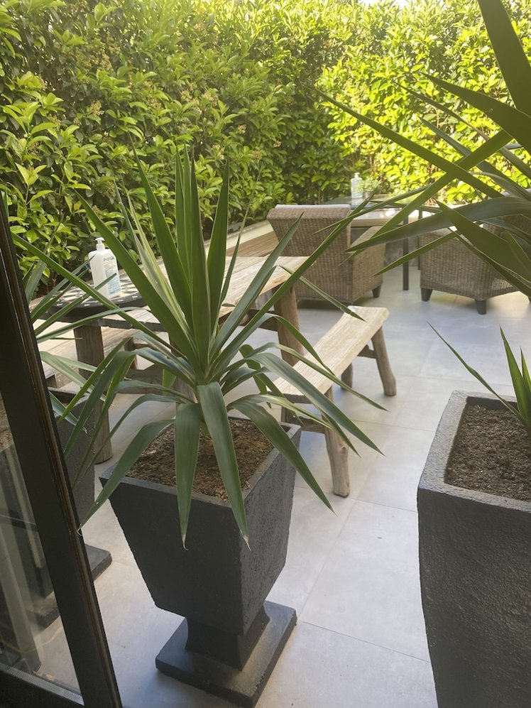 Z Suites, Antalya