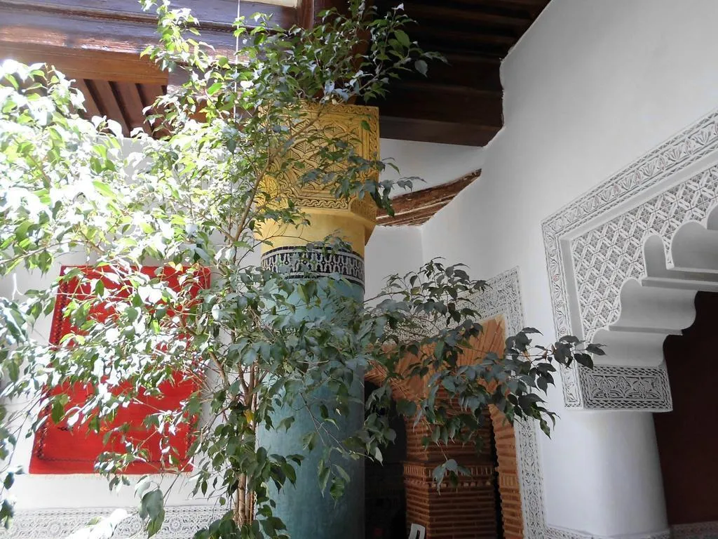 General view, Riad Bibtia, Marrakech