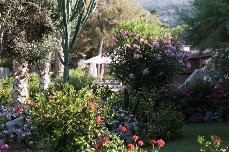 Terrace, Ikaros Beach Luxury Resort Spa, Crete