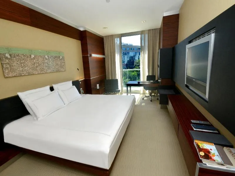 SINGLE STANDARD Room, Swissotel Buyuk Efes Izmir, Izmir