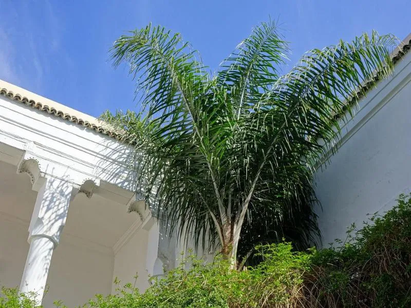 General view, Riad Al Assala, Marrakech