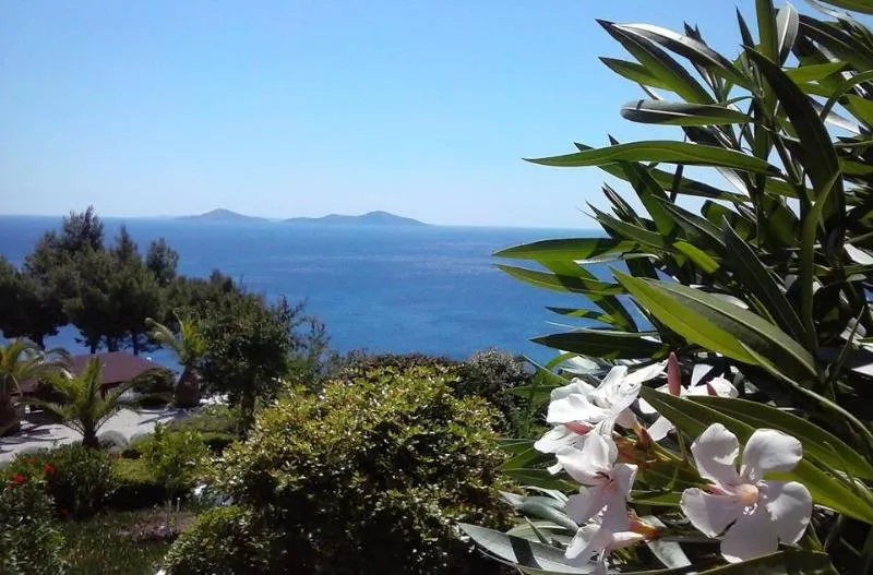 General view, Milia Bay Hotel Apartment, Skiathos