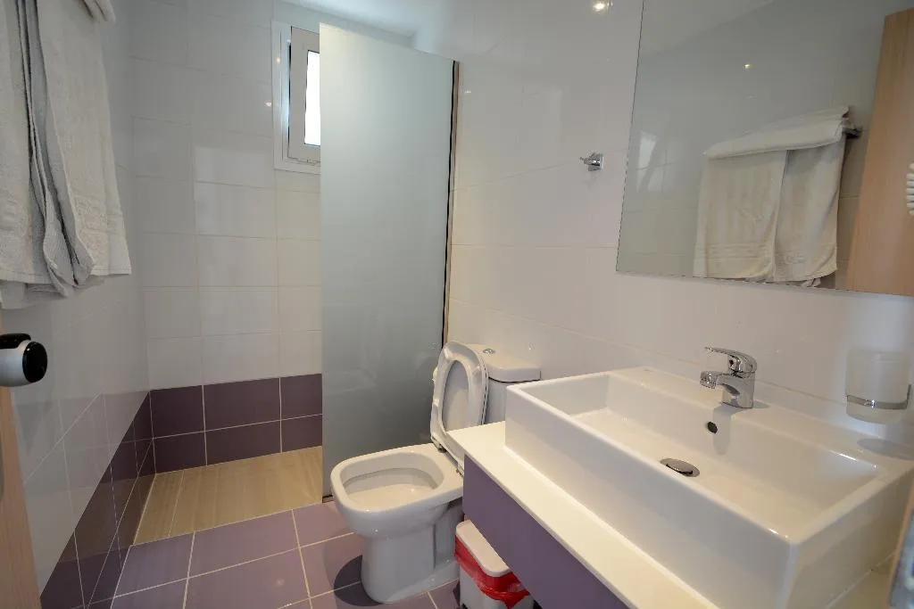 APARTMENT CAPACITY 4 Room, Origin, Kos