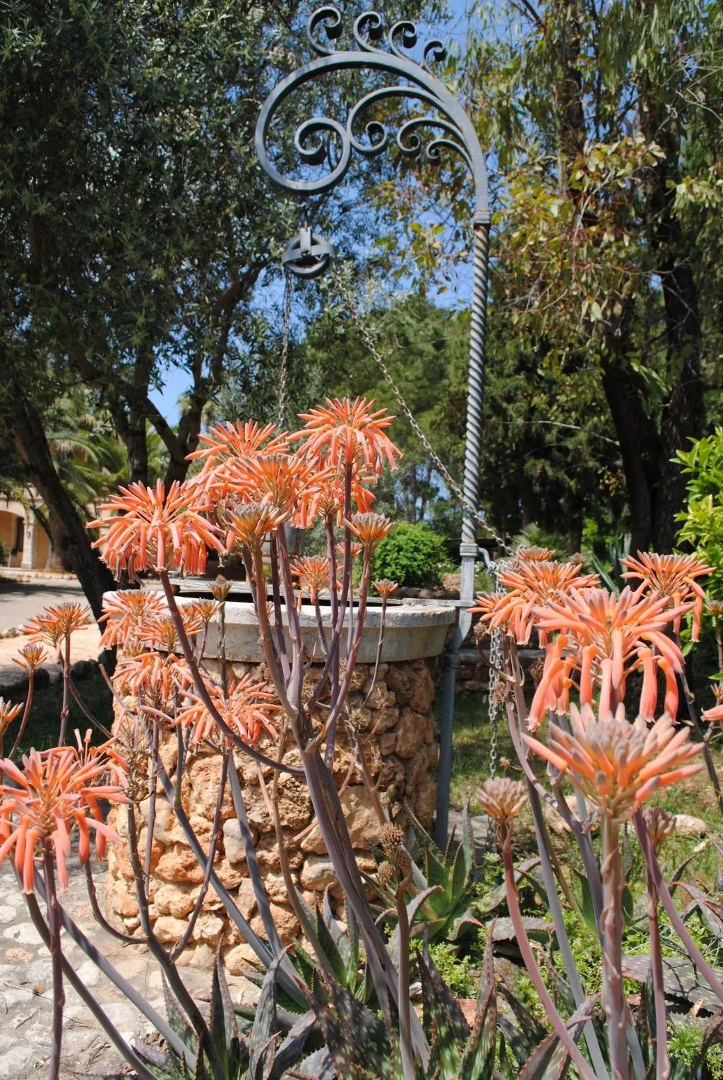 Sports and Entertainment, Weingut & Landhotel Can Davero, Majorca