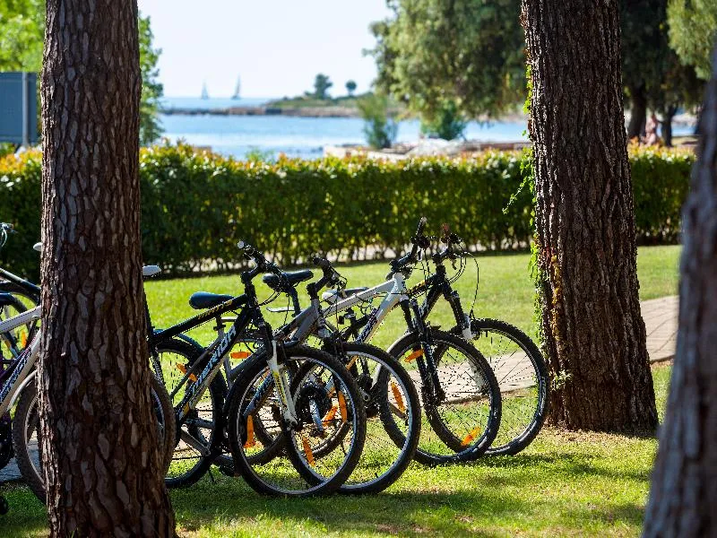 Sports and Entertainment, Hotel Aurora Plava Laguna, Istria