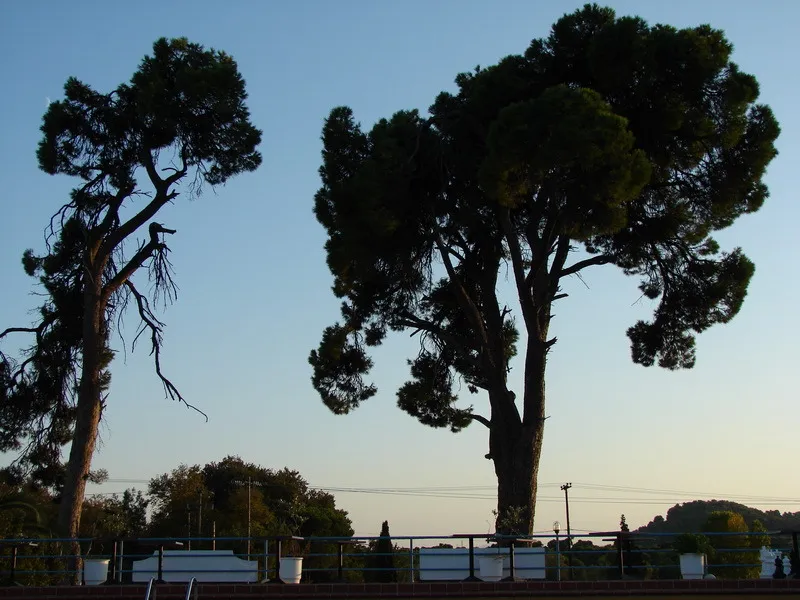 General view, Caravos, Skiathos