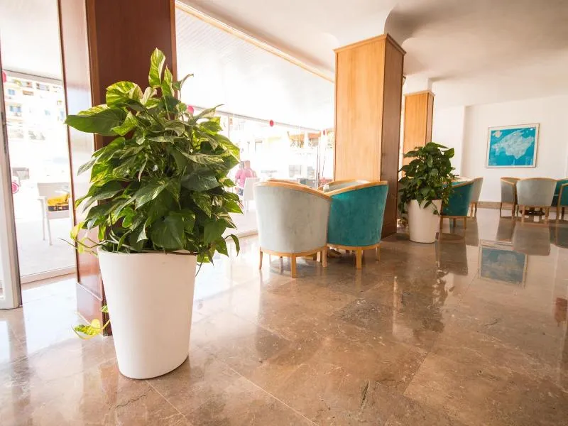 Lobby, Amic Miraflores, Majorca