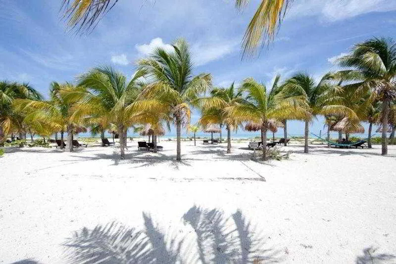 Beach, Villas Delfines, Cancun Area