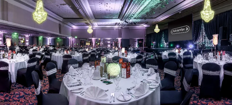 Conferences, Ballsbridge Hotel, Dublin