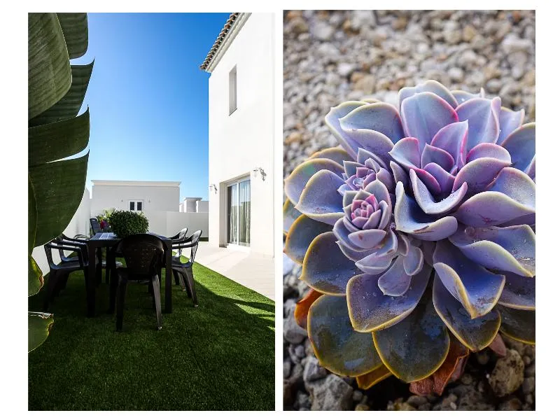 Terrace, Yucca Villas, Tenerife
