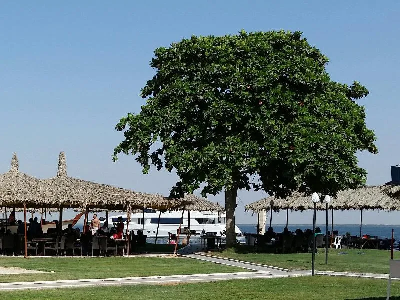 Beach, Flamingo by Bin Majid, Dubai