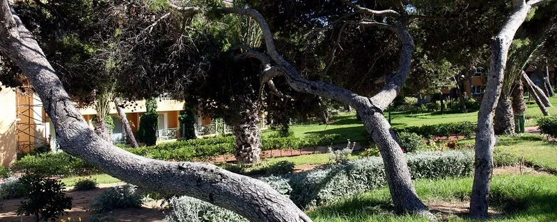General view, Dar Ismail Tabarka, Tunisia
