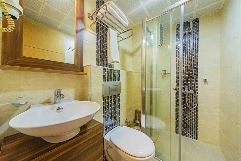 DOUBLE STANDARD Room, Pera Arya Hotel, Istanbul