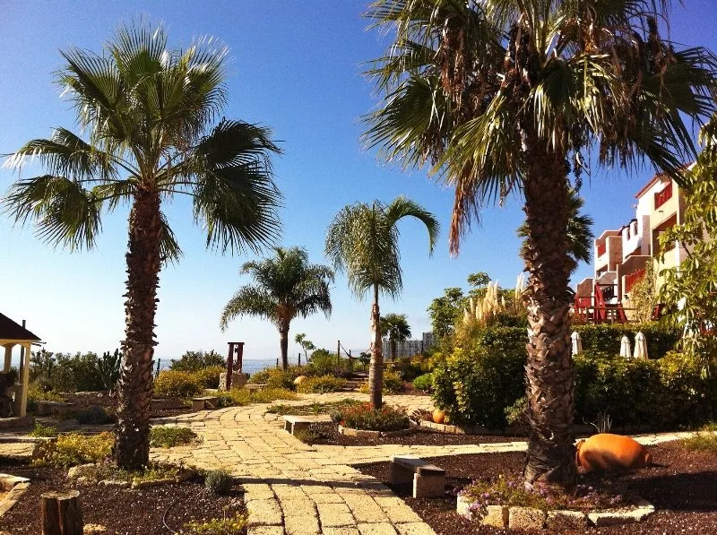 General view, Finca Vistabonita, Tenerife
