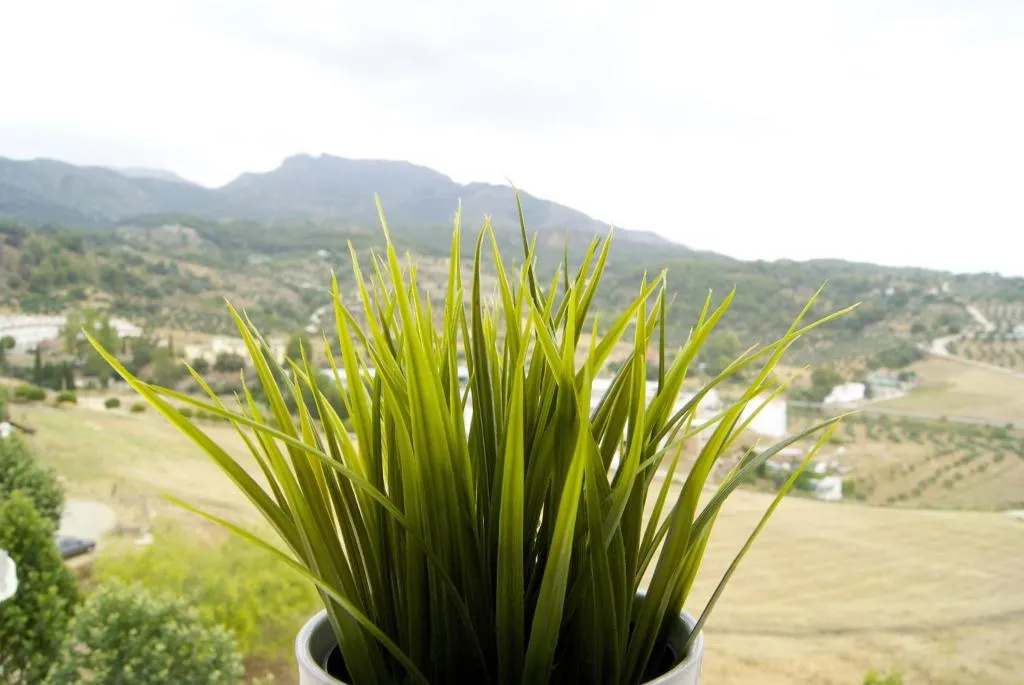 General view, Hostal Sango, Costa Del Sol
