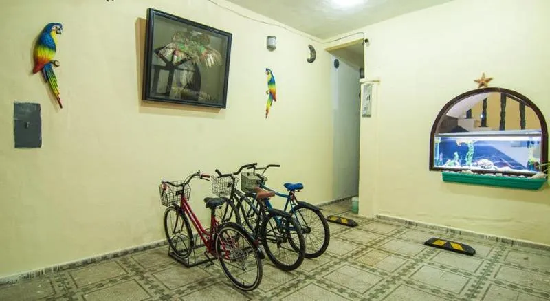 Lobby, Hostal Charlys, Cancun Area