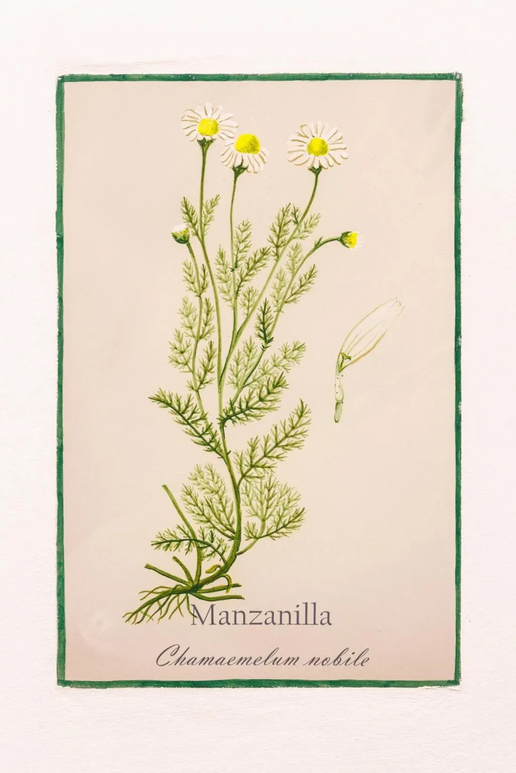 General view, Arte De Cozina, Andalucia