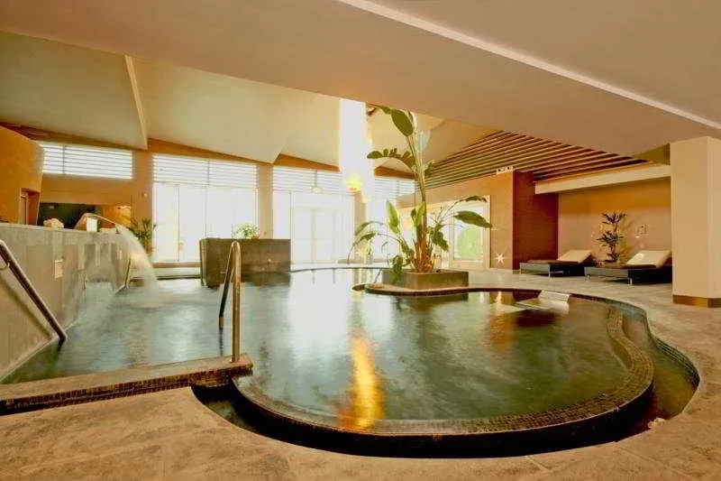 Pool, Dunboyne Castle Hotel & Spa, Dublin