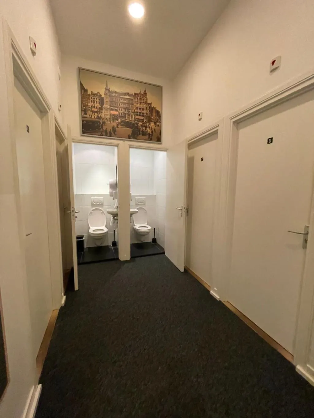 DOUBLE STANDARD Room, Budget Hotel Hortus, Amsterdam