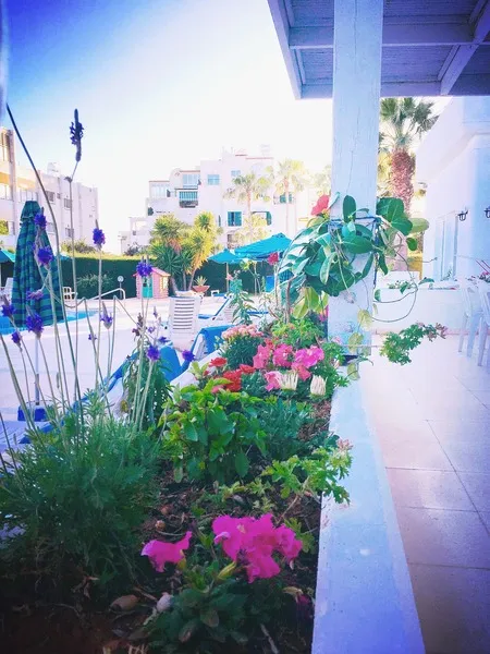 Terrace, Blue Crane Hotel Apts, Cyprus