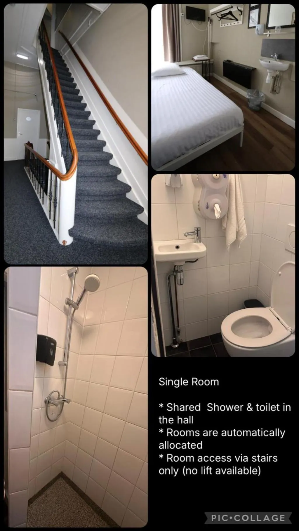 SINGLE WITH SHARED BATHROOM Room, Budget Hotel Hortus, Amsterdam