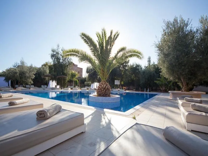 Pool, Riad La Maison des Oliviers, Marrakech