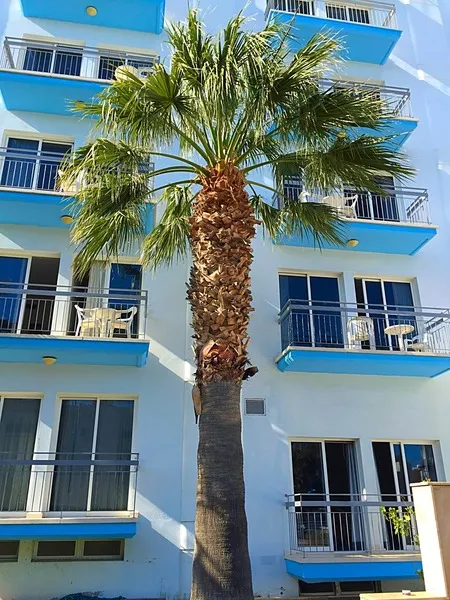General view, Blue Crane Hotel Apts, Cyprus